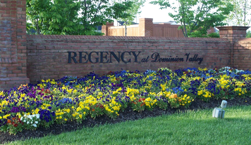 Explore Regency at Dominion Valley Selling Dominion Valley